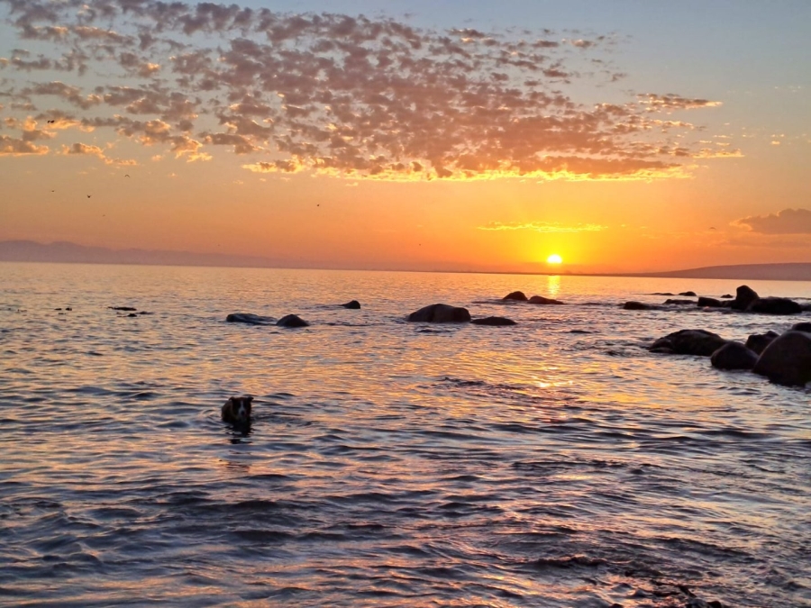  Bedroom Property for Sale in Sandy Point Beach Estate Western Cape